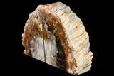 Tall, Colorful Petrified Wood Bookends - Madagascar #152432-1